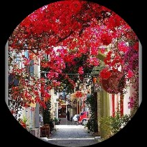 Picsart profile picture for @biography