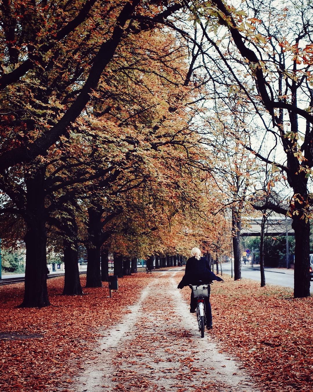 autumn photography Michal Koralewski
