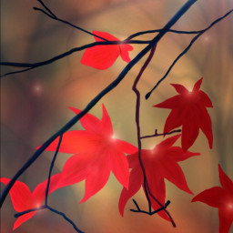 wdpautumn drawing autumn colorful hd