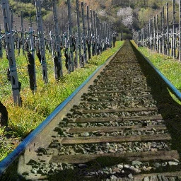 fterailway vineyard