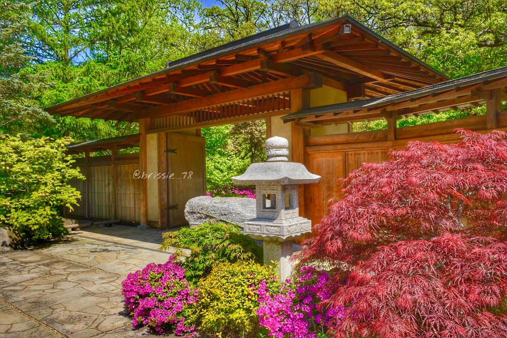 Japane Garden!!
#japanesegarden #garden #gardenlovers